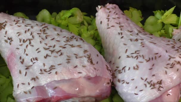 Muslo de pavo crudo con especias — Vídeos de Stock