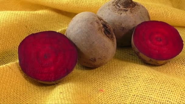 Frische Rote Bete isoliert auf gelbem Hintergrund — Stockvideo