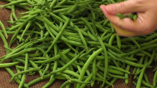 Soupe de poulet aux légumes — Video