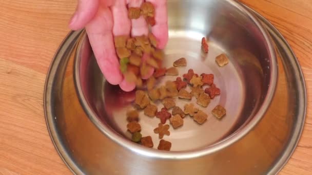 Metal bir kabın içinde evde beslenen hayvan yiyecek yakın çekim — Stok video