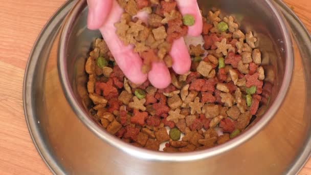 Primer plano de comida para mascotas en cuenco de metal — Vídeo de stock