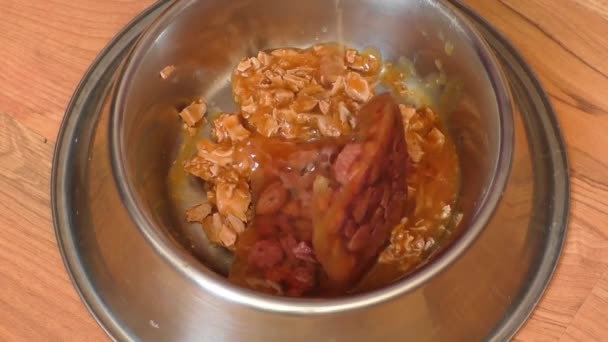 Close up of pet food in metal bowl — Stock Video