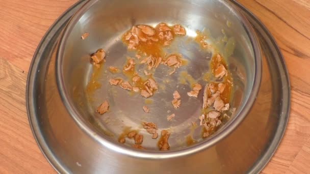 Close up of pet food in metal bowl — Stock Video