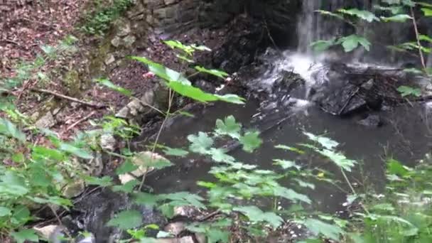 小さな滝の眺め かなり小さな石の滝 — ストック動画