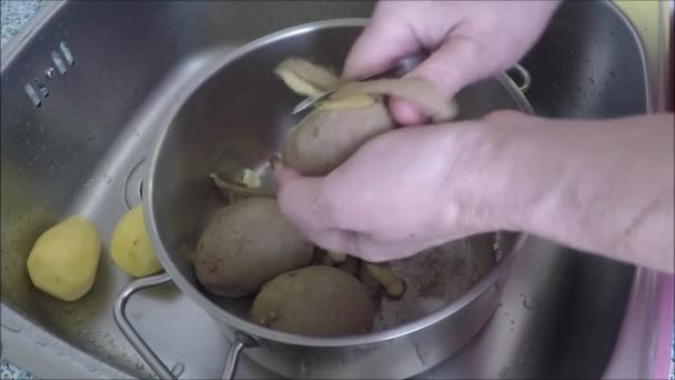 Femme âgée pour éplucher les pommes de terre — Video