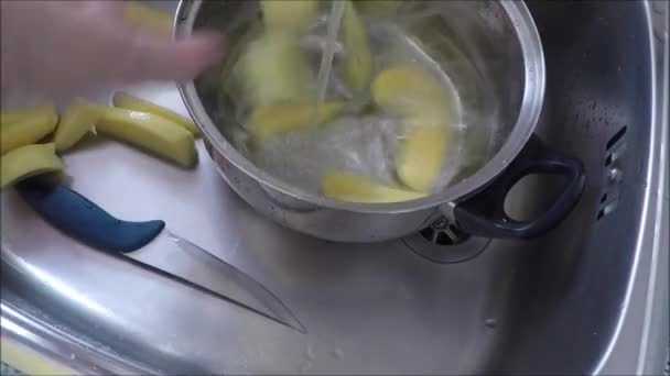 Крупный план сырой очищенной картошки в горшке — стоковое видео