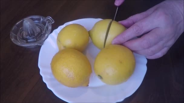 Citroner och juicer grupp — Stockvideo