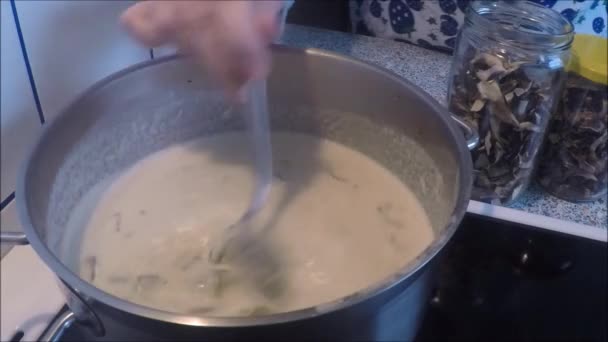 Sopa de crema de champiñones en cacerola — Vídeos de Stock