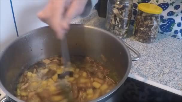 Gemüsesuppe mit Champignons Nahaufnahme — Stockvideo