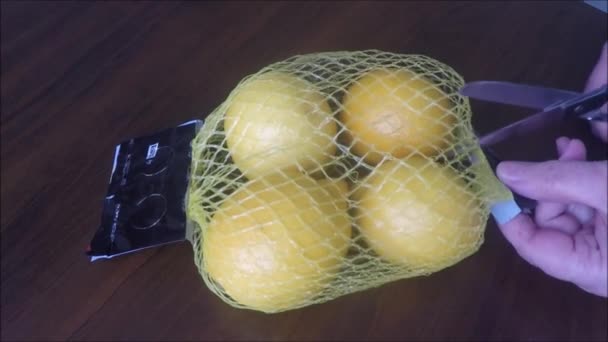 Färsk citron med netto — Stockvideo