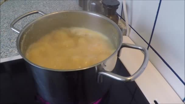 Soupe de légumes bouillante avec bulles d'eau dans une casserole en acier inoxydable — Video