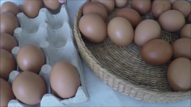 Persona que elige el mejor huevo de una caja de huevos — Vídeos de Stock