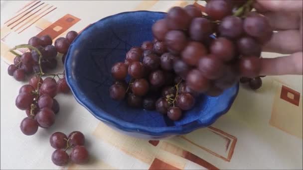 Чаша со свежим темным виноградом — стоковое видео