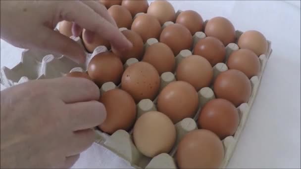 Person wählt das beste Ei aus einem Karton mit Eiern — Stockvideo