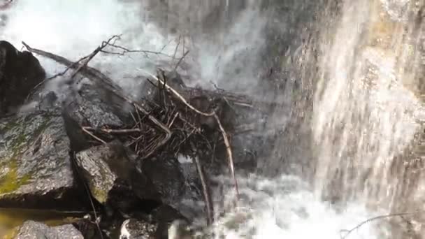 Strömmande vatten i floden berg — Stockvideo