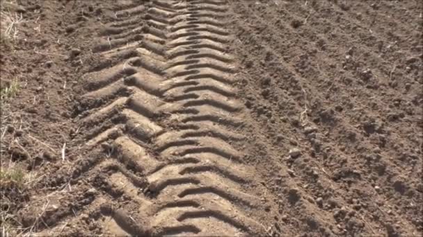 Wheel tracks on the soil closeup pattern — Stock Video