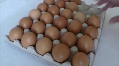 En iyi yumurta yumurta kartonundan seçtiğiniz kişi