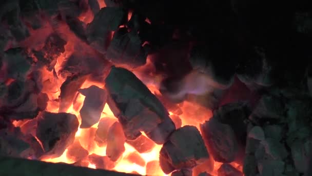 Flammes de feu s'élevant dans un fond sombre 