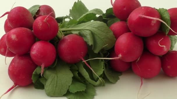 Radishes on a white background — Stock Video