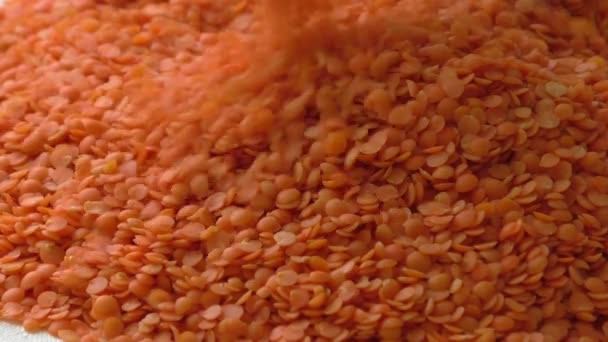 Closeup image of red lentil — Stock Video