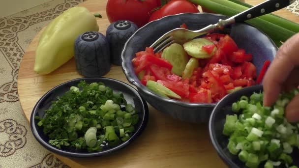 Весенний салат с помидорами, огурцом и луком — стоковое видео