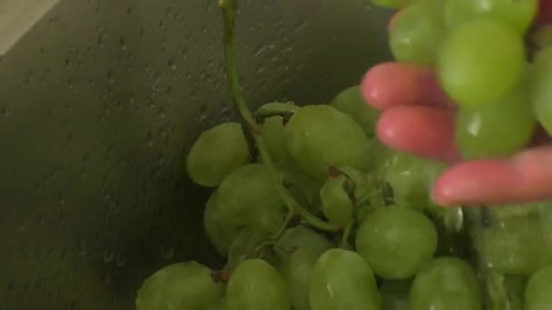 Виноград в раковине из нержавеющей стали — стоковое видео