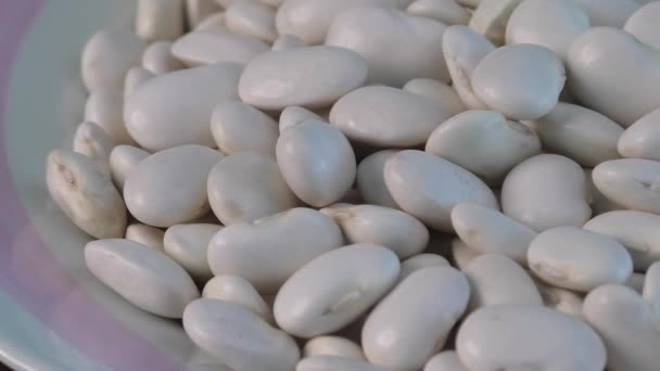 tas de haricots blancs sur une assiette blanche 