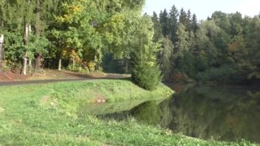 sonbahar orman ve göl manzara