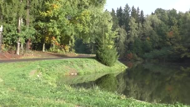 Paisaje con bosque otoñal y lago — Vídeo de stock