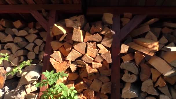 Bûches de bois de chauffage hachées sèches prêtes pour l'hiver — Video