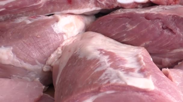 Wybór różnych kawałków mięsa świeżego mięsa — Wideo stockowe