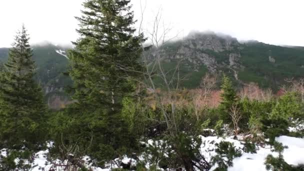 Eslováquia paisagem montanhosa cênica — Vídeo de Stock