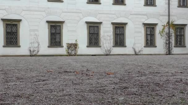 Detalle del castillo en República Checa — Vídeo de stock