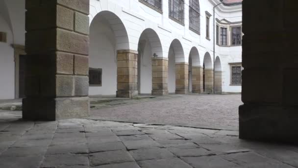 Деталь замка в Чехии — стоковое видео