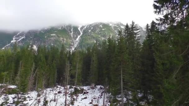 Paisaje invernal en cielo nublado — Vídeos de Stock