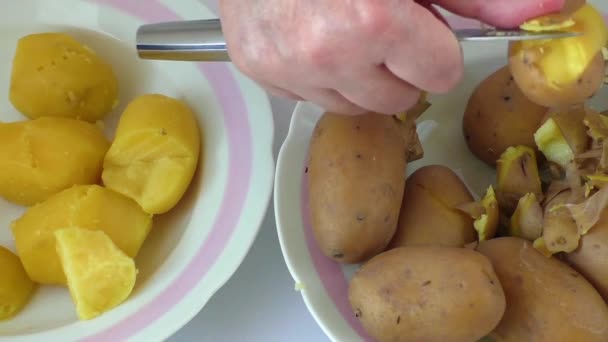 Förbereda middag: händer skalar potatis — Stockvideo