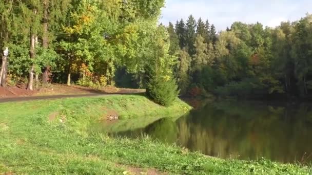 Paesaggio con foresta autunnale e lago — Video Stock