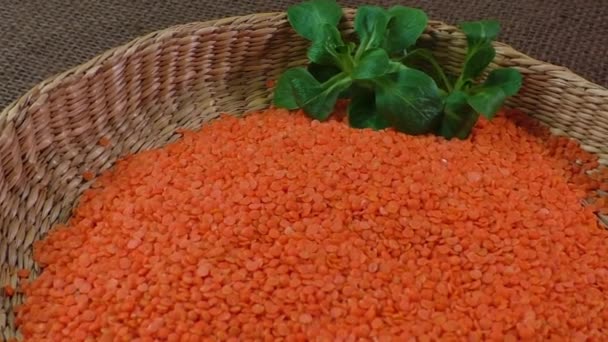 Bowl with orange lentil on canvas — Stock Video