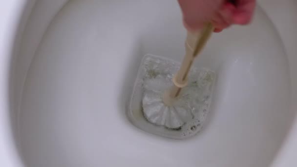 Pulizia e lavaggio WC ciotola con spazzola. Concetto di impresa di pulizia della casa — Video Stock