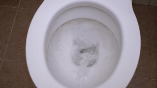 Toalett spolas ner ovanifrån. Vatten och papper spolas ner i toalettstolen — Stockvideo