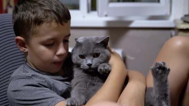 Happy Child Lies on Bed and Hugs een Britse huiskat. Liefde naar huis Dieren — Stockvideo