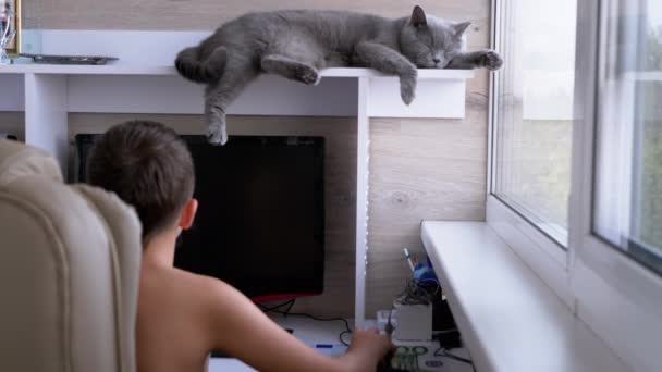 Junge Spieler sitzen im Sessel und spielen Videospiele am Computer. In der Nähe der schlafenden Katze — Stockvideo