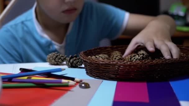Talentvolle jongen houdt dennenappels in handen en kleurpotloden. Online leren — Stockvideo
