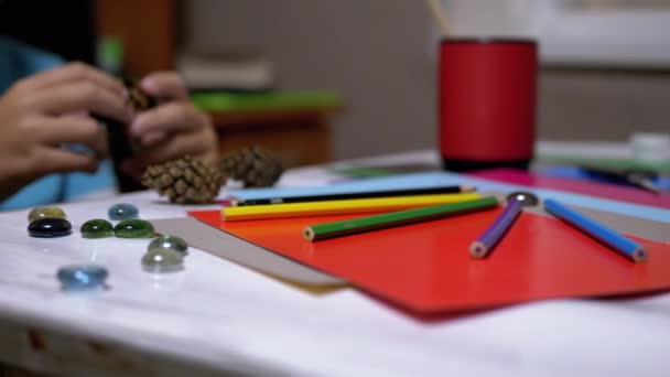 Το ταλαντούχο αγόρι κρατάει κουκουνάρια στα χέρια και χρωματιστά μολύβια. Ηλεκτρονική μάθηση — Αρχείο Βίντεο