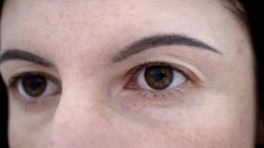 Kadın Kahverengi Gözler Yavaşça Açık, Kameraya Bakıyor, Kısa Güzel Kirpikleriyle