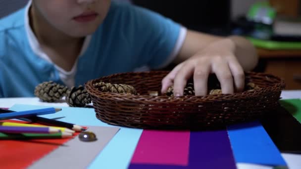 Talentoso niño sostiene conos de pino en manos y lápices de colores. Aprendizaje online — Vídeos de Stock