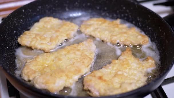 Côtelettes de poulet frites avec croûte croustillante dans la poêle. Cuisine maison. Gros plan — Video