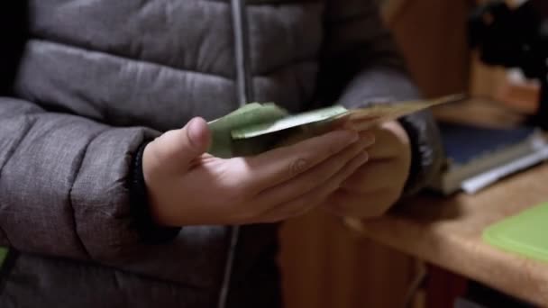 Kind in een jas houdt en telt Hryvnia bankbiljetten, geld in handen. Close-up — Stockvideo