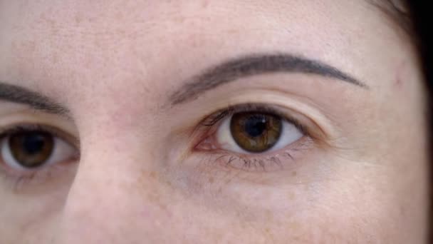 Kvinnliga bruna ögon långsamt öppna, tittar på kameran, med korta vackra ögonfransar — Stockvideo