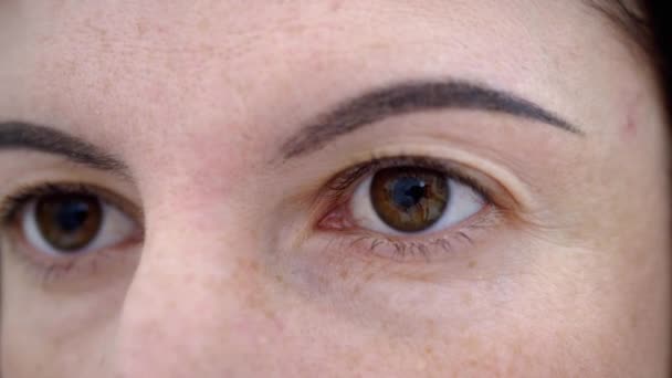 Female Brown Eyes Slowly Open, Looking at Camera, with Short Beautiful Eyelashes — Stock Video